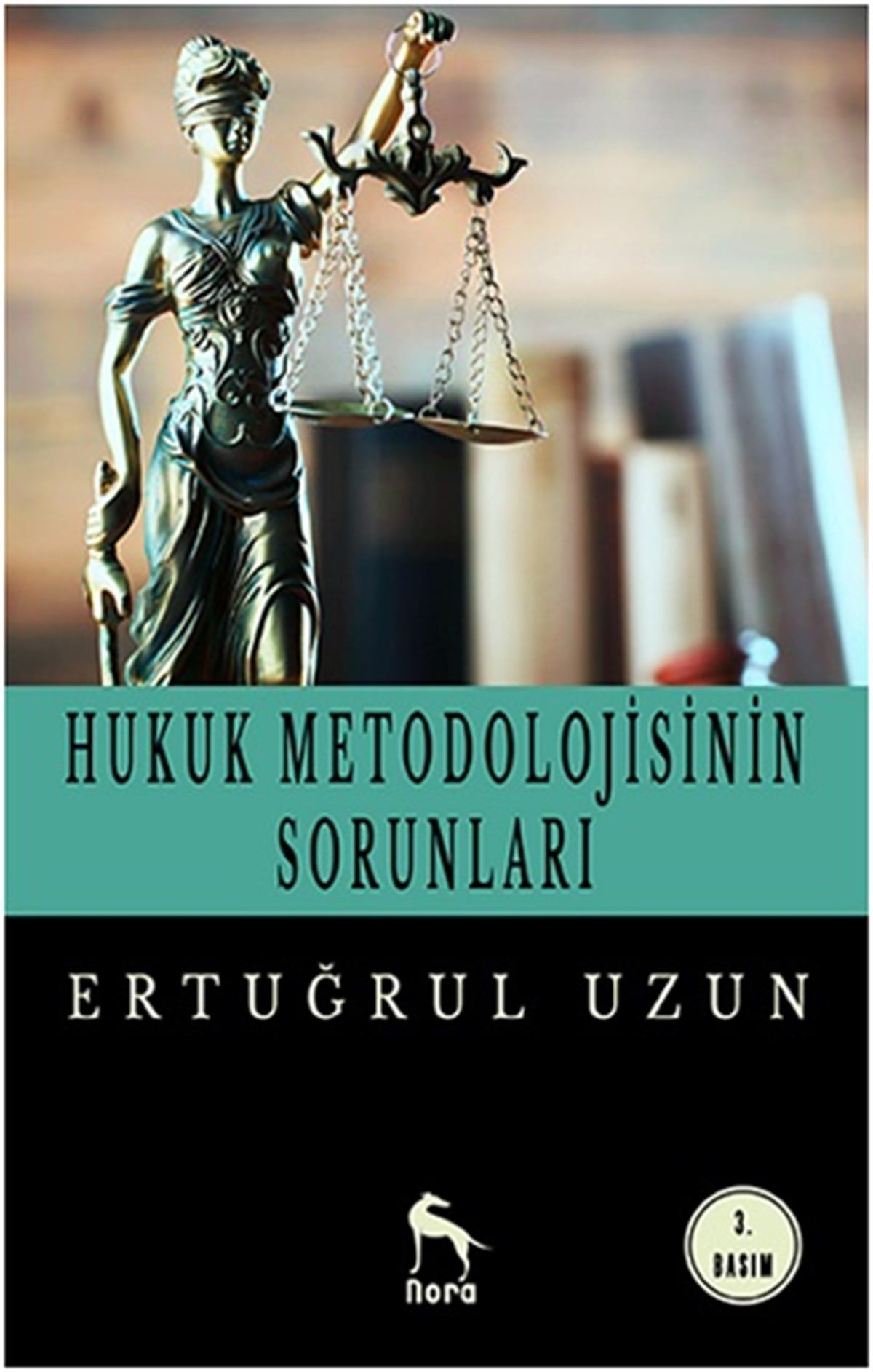 Hukuk Metodolojisinin Sorunları