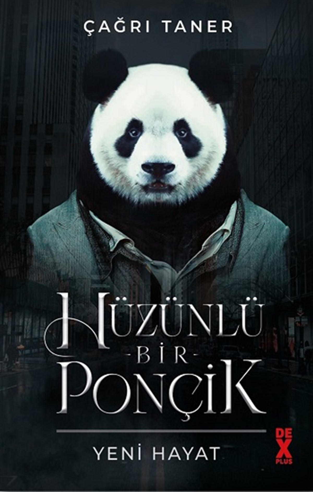 Hüzünlü Bir Ponçik