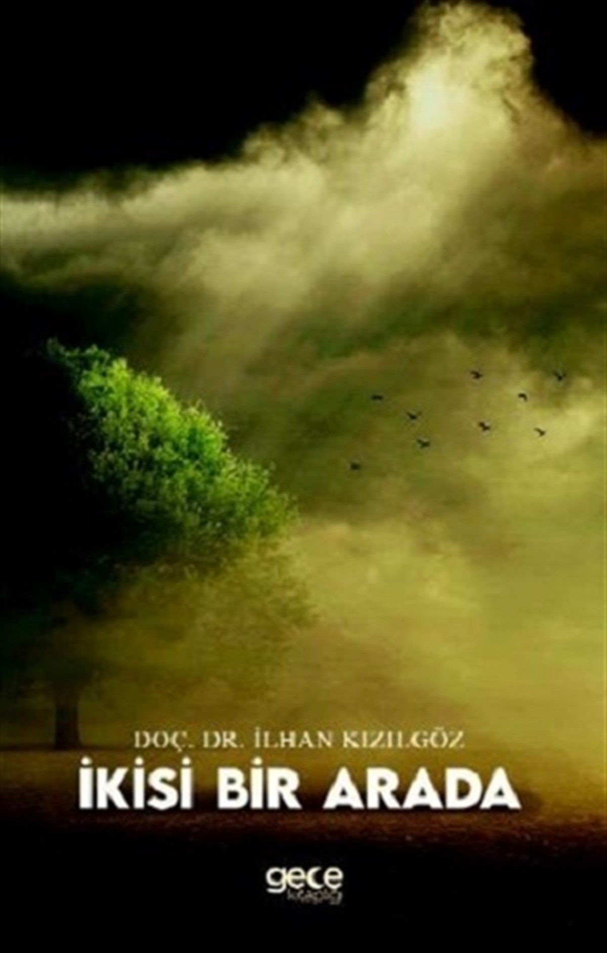 İkisi Bir Arada