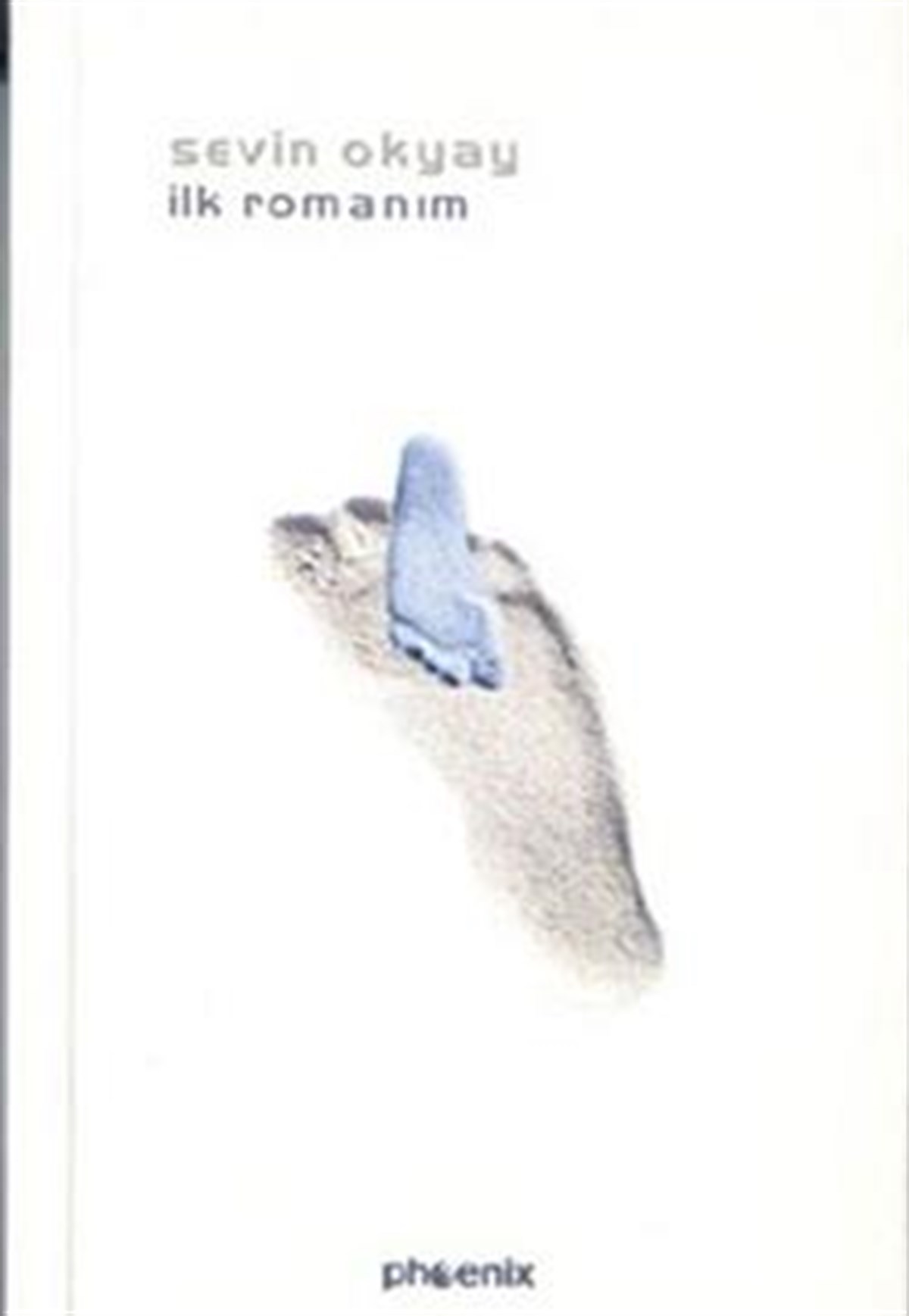 İlk Romanım