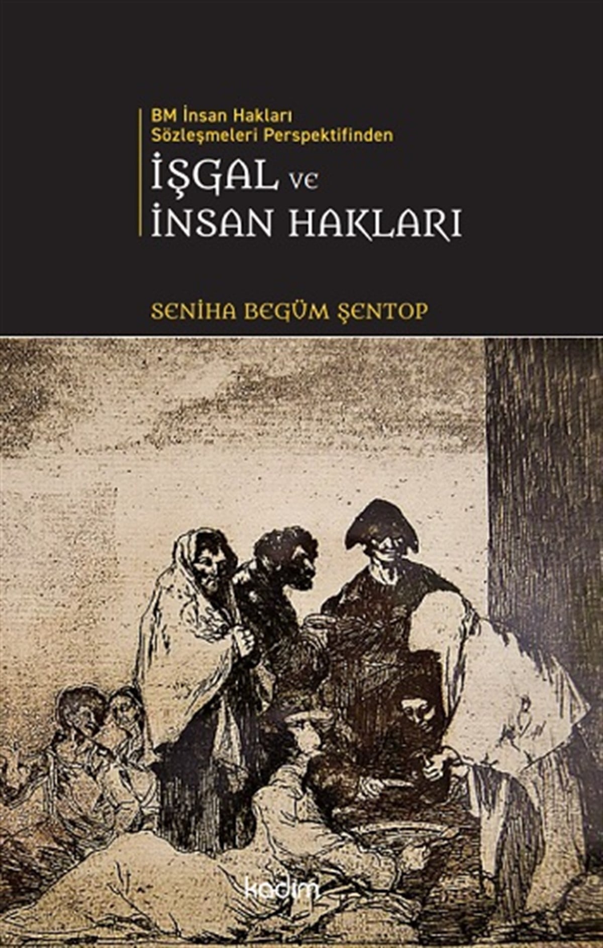 İşgal ve İnsan Hakları