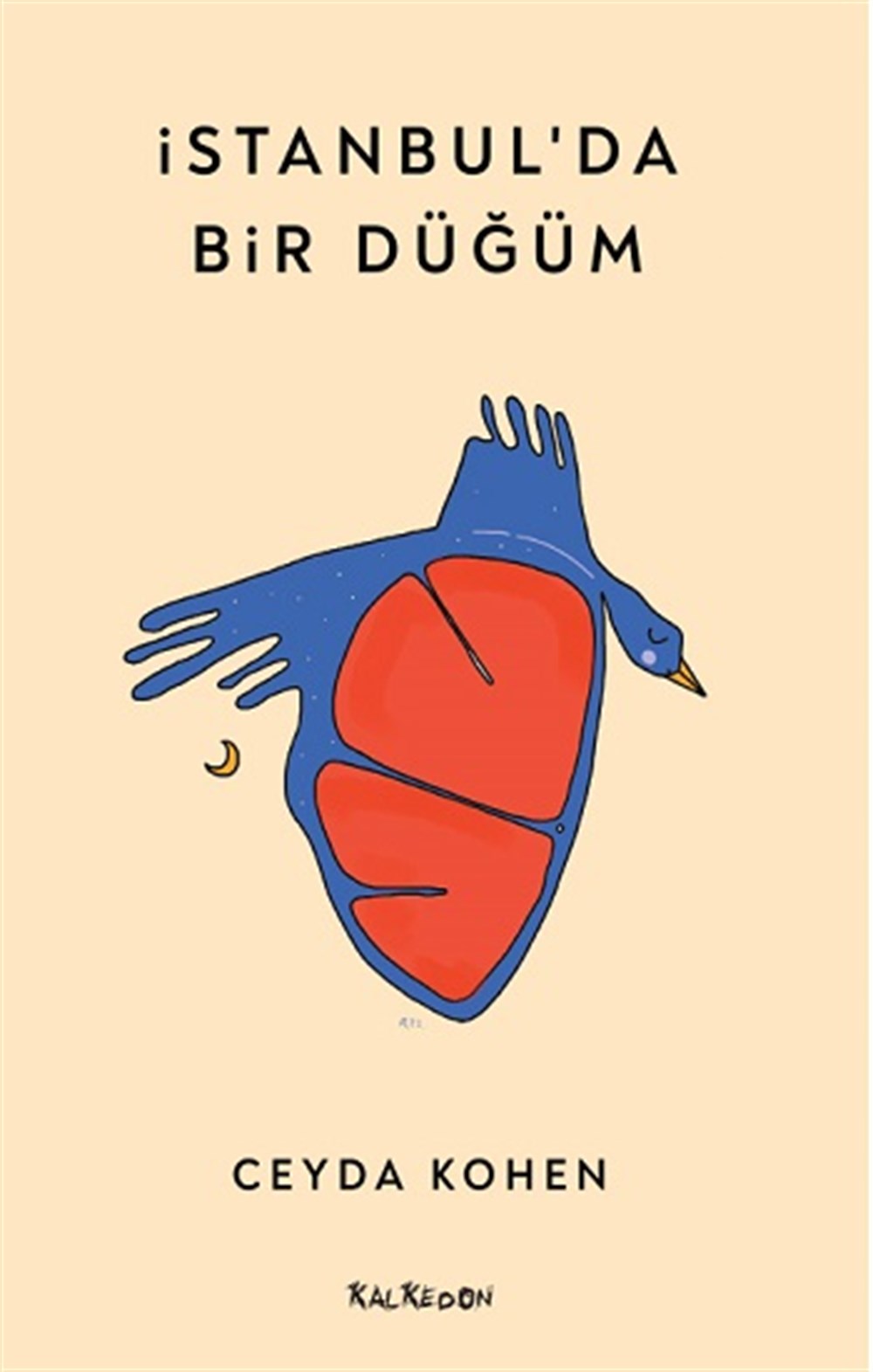 İstanbul’da Bir Düğüm