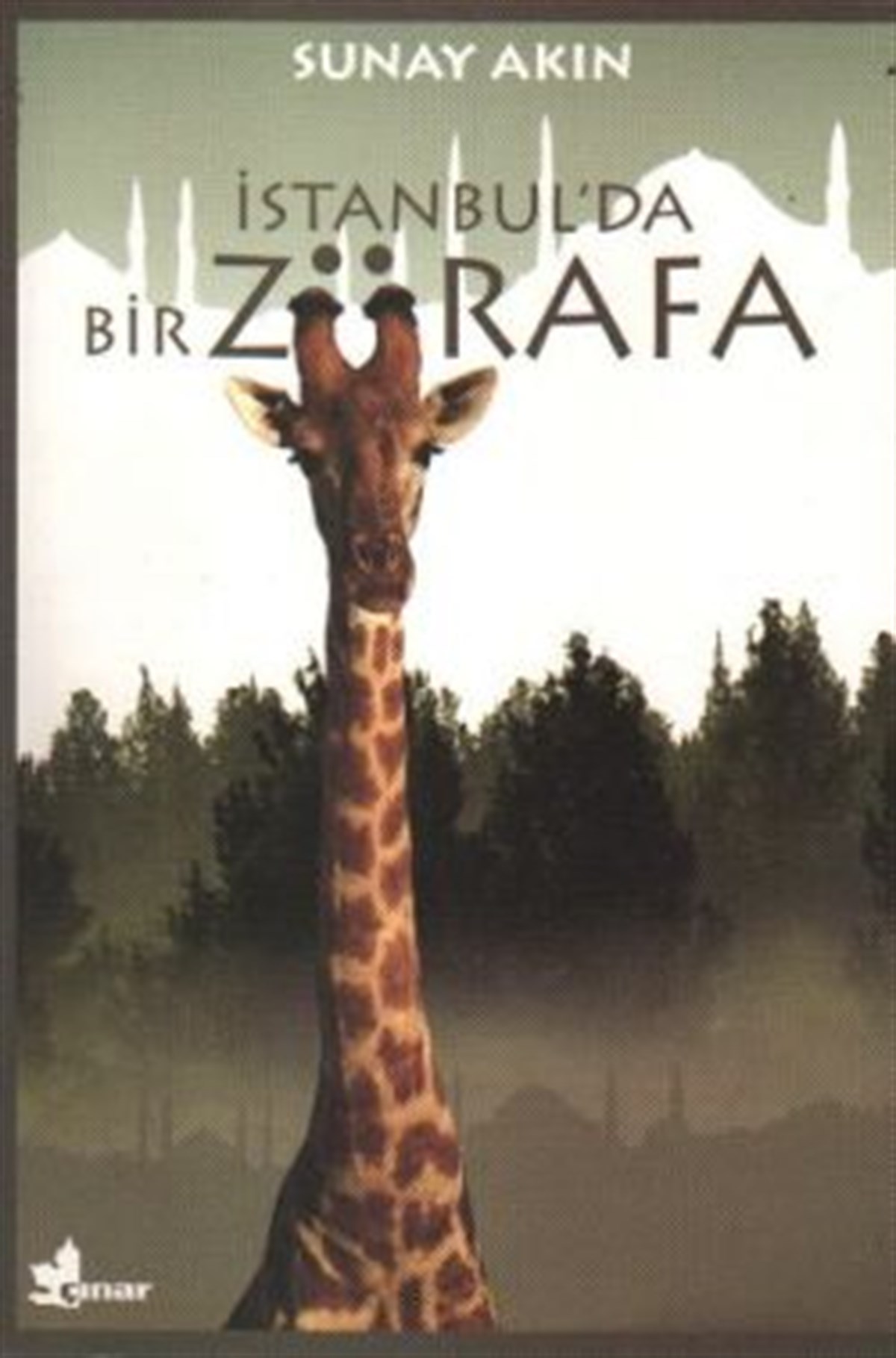 İstanbul’da Bir Zürafa