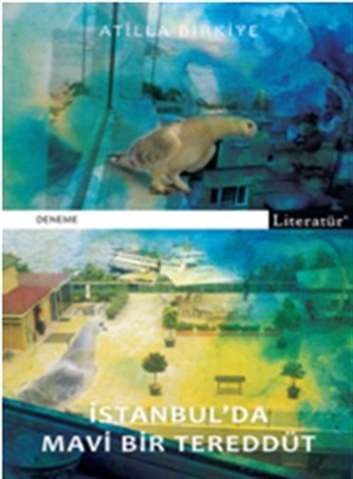 İstanbul'da Mavi Bir Tereddüt