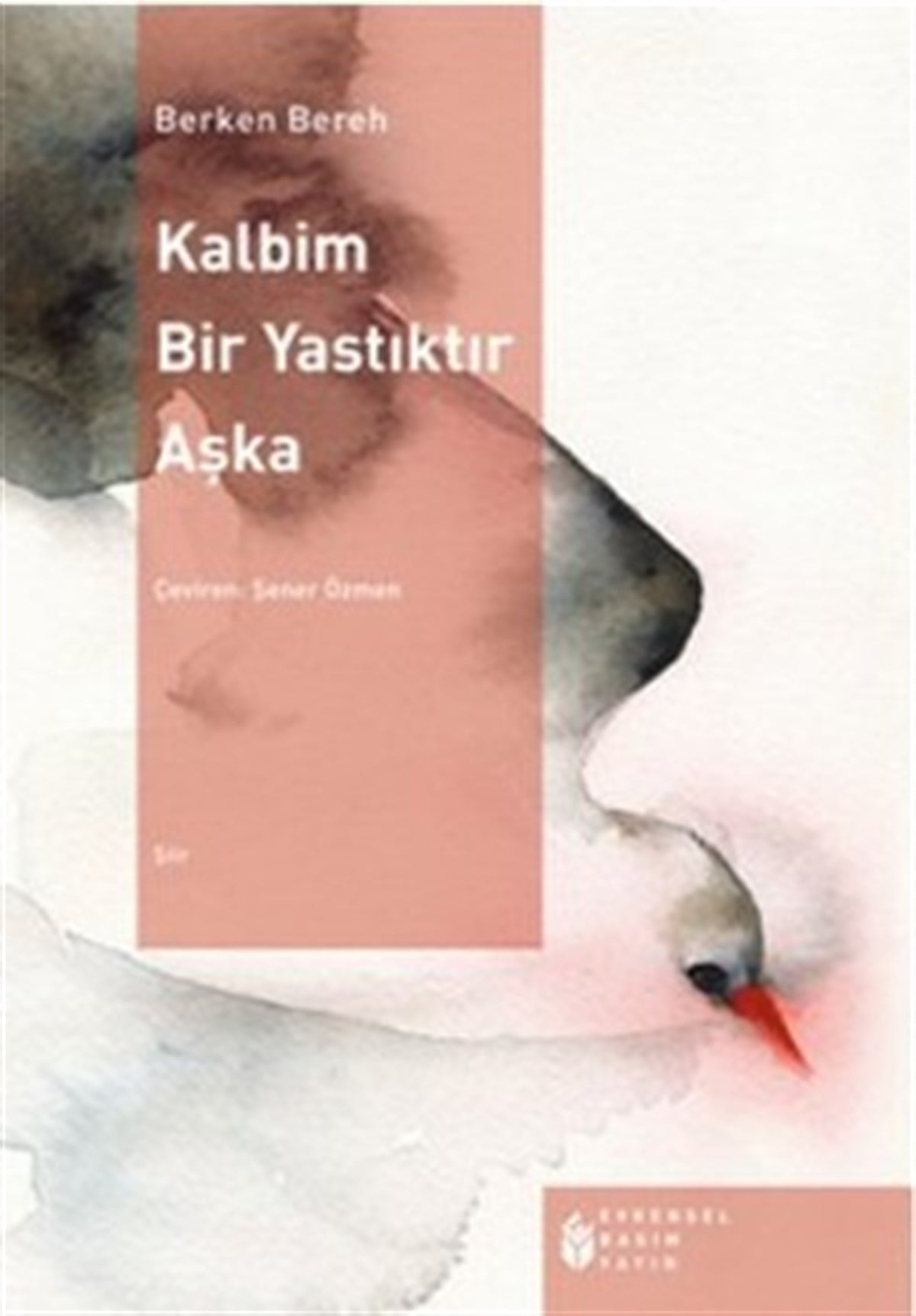 Kalbim Bir Yastıktır Aşka