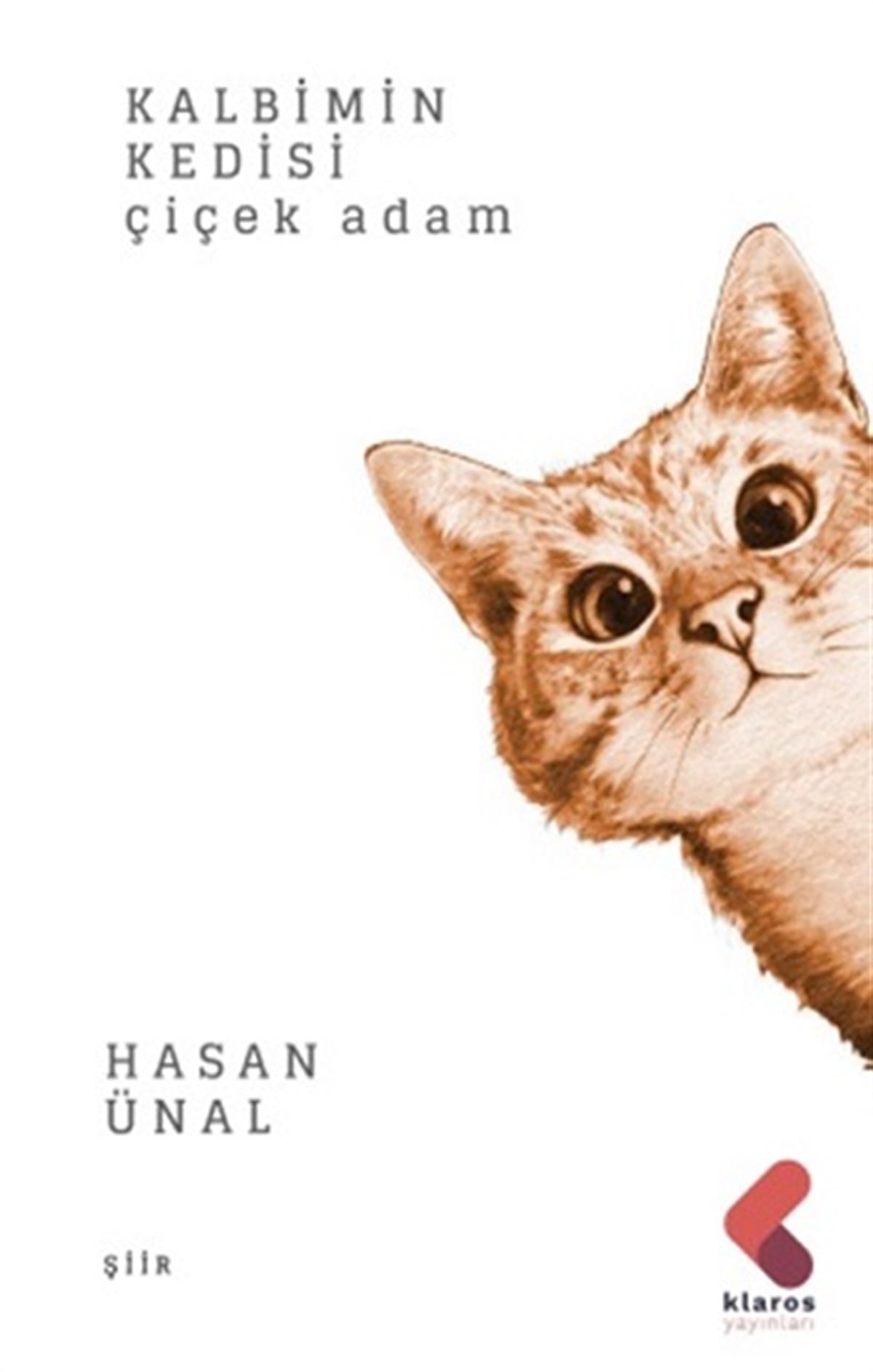 Kalbimin Kedisi