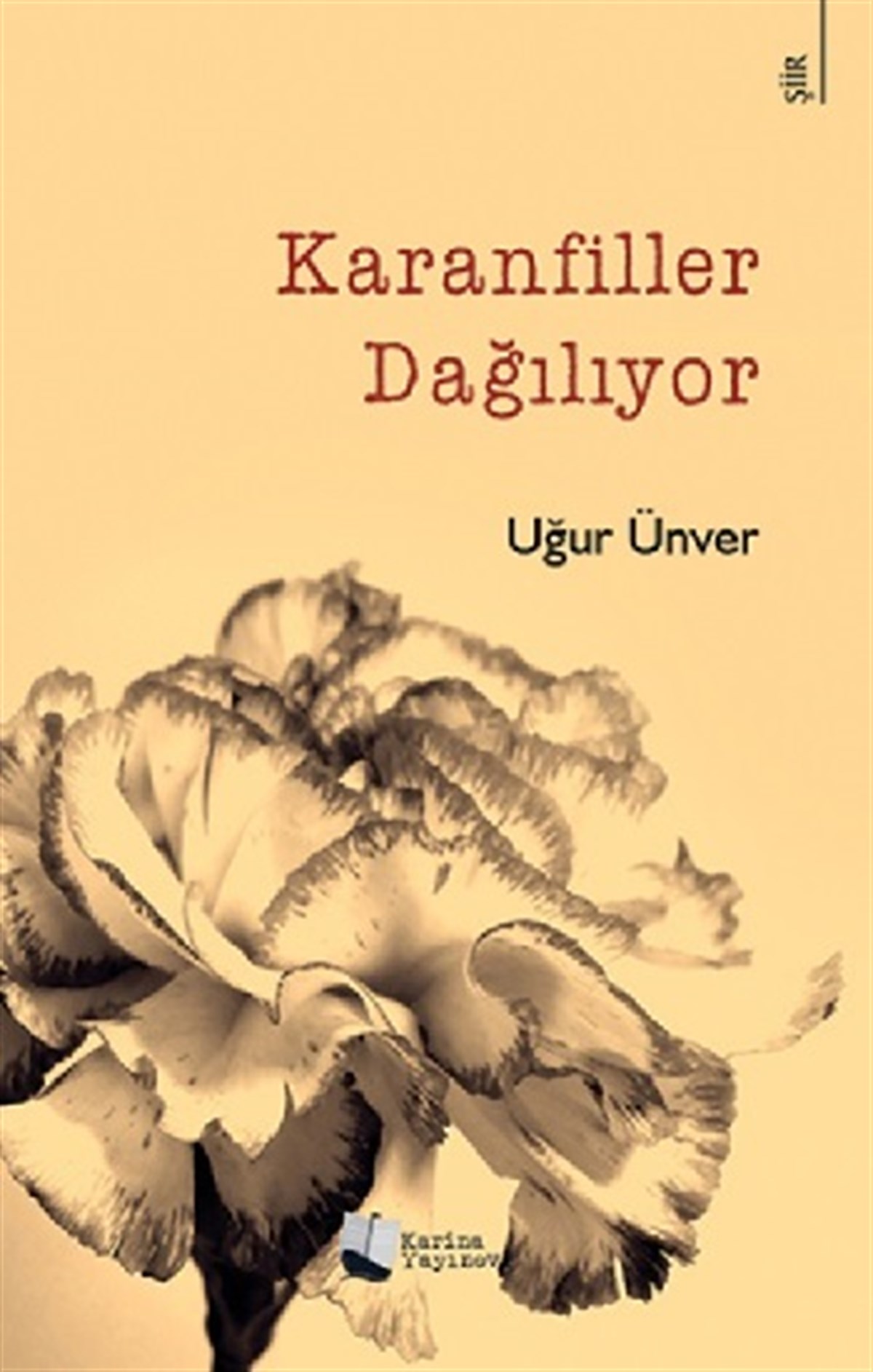 Karanfiller Dağılıyor