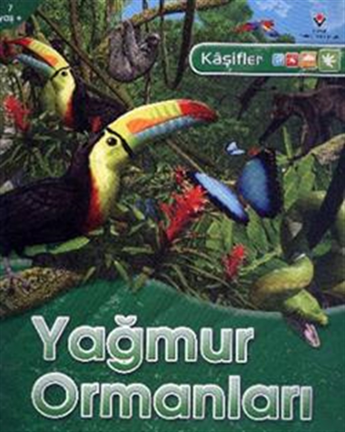 Kaşifler Yağmur Ormanlarında