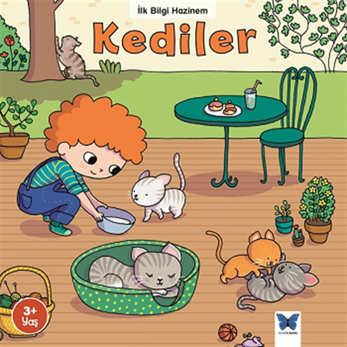 Kediler - ilk Bilgi Hazinem