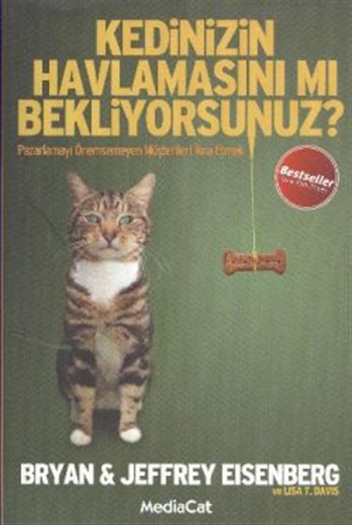 Kedinizin Havlamasını mı Bekliyorsunuz?