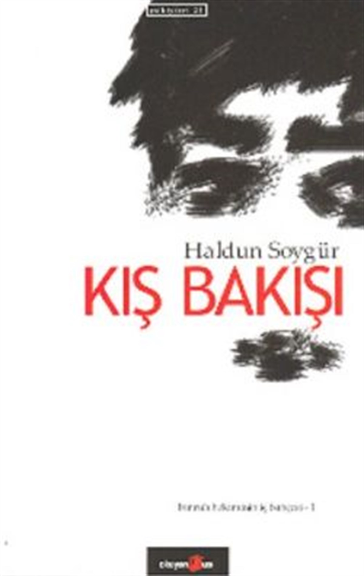 Kış