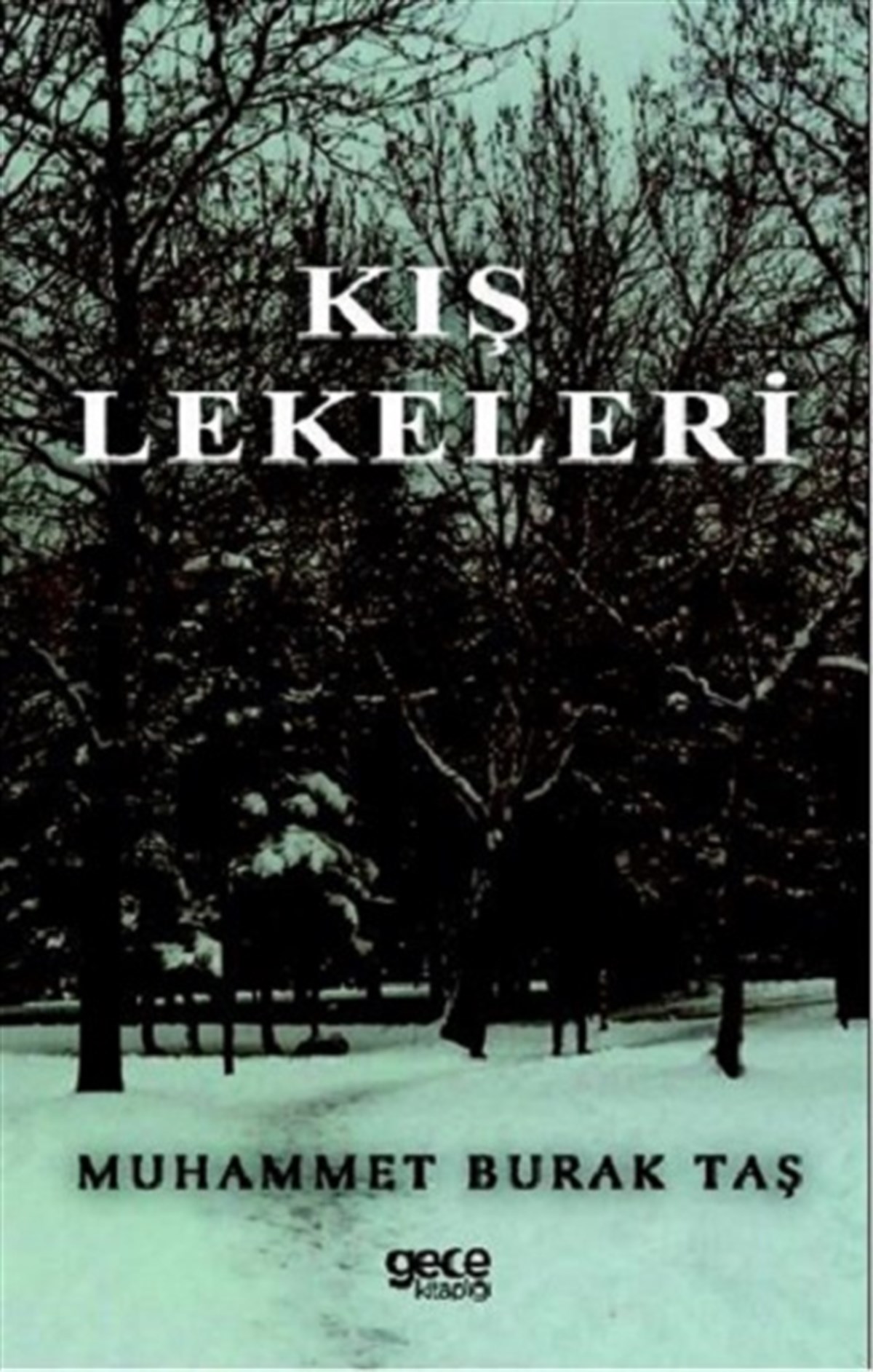 Kış Lekeleri