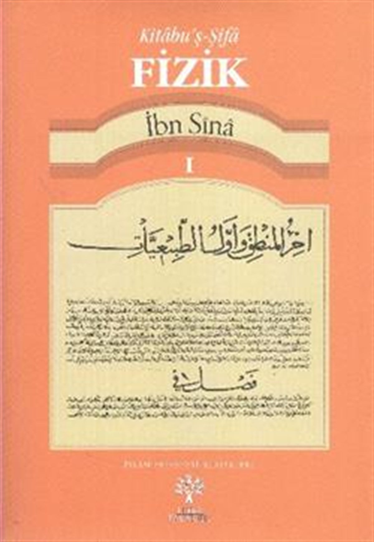 Kitabu'ş-Şifa Fizik 1
