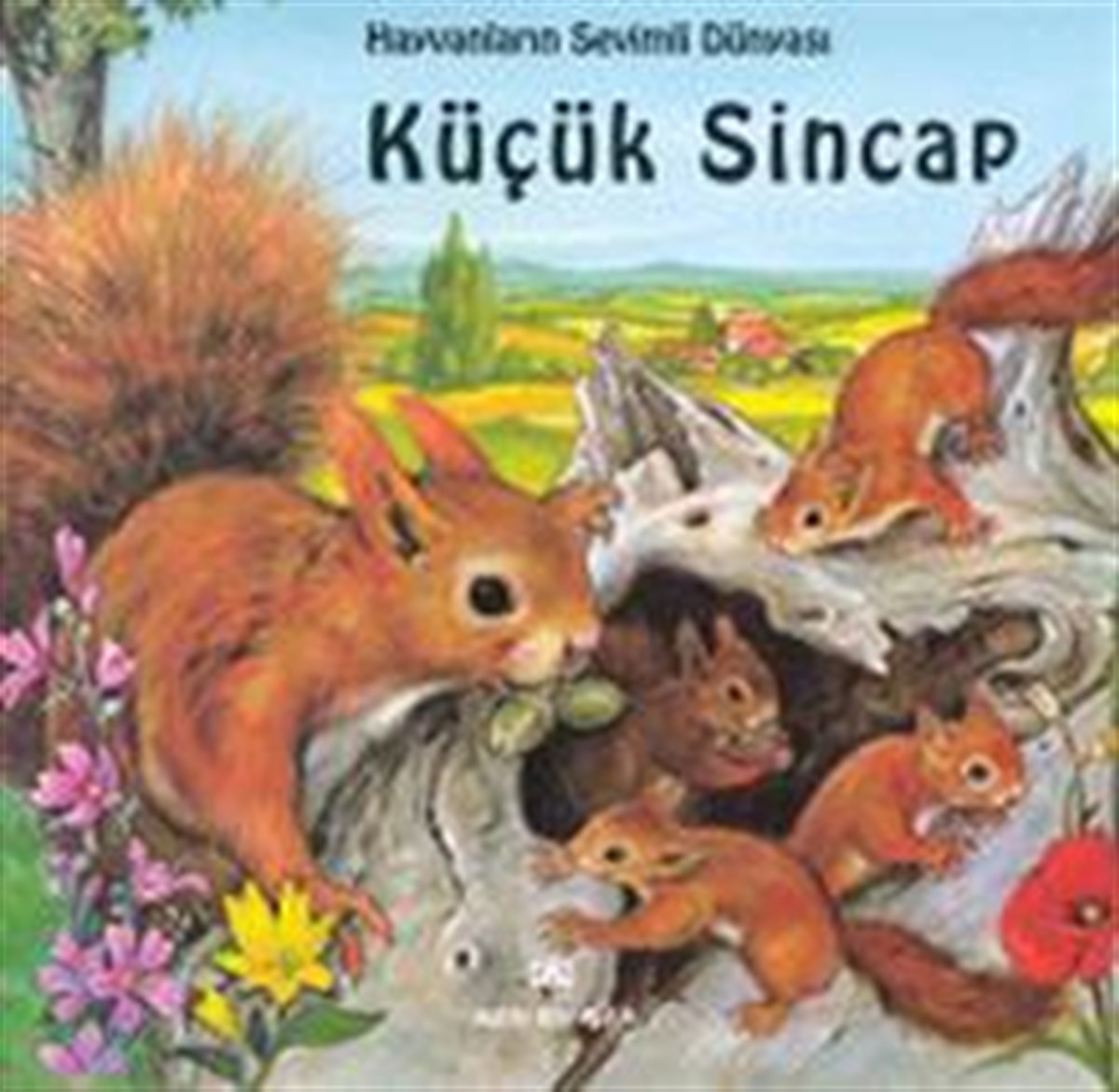 Küçük Sincap