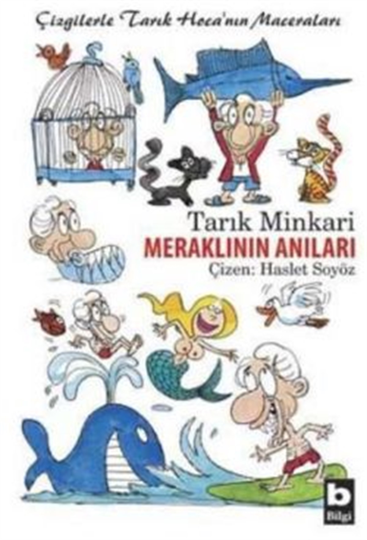 Meraklının Anıları