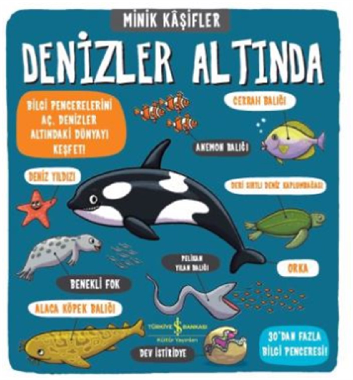Minik Kaşifler Denizler Altında