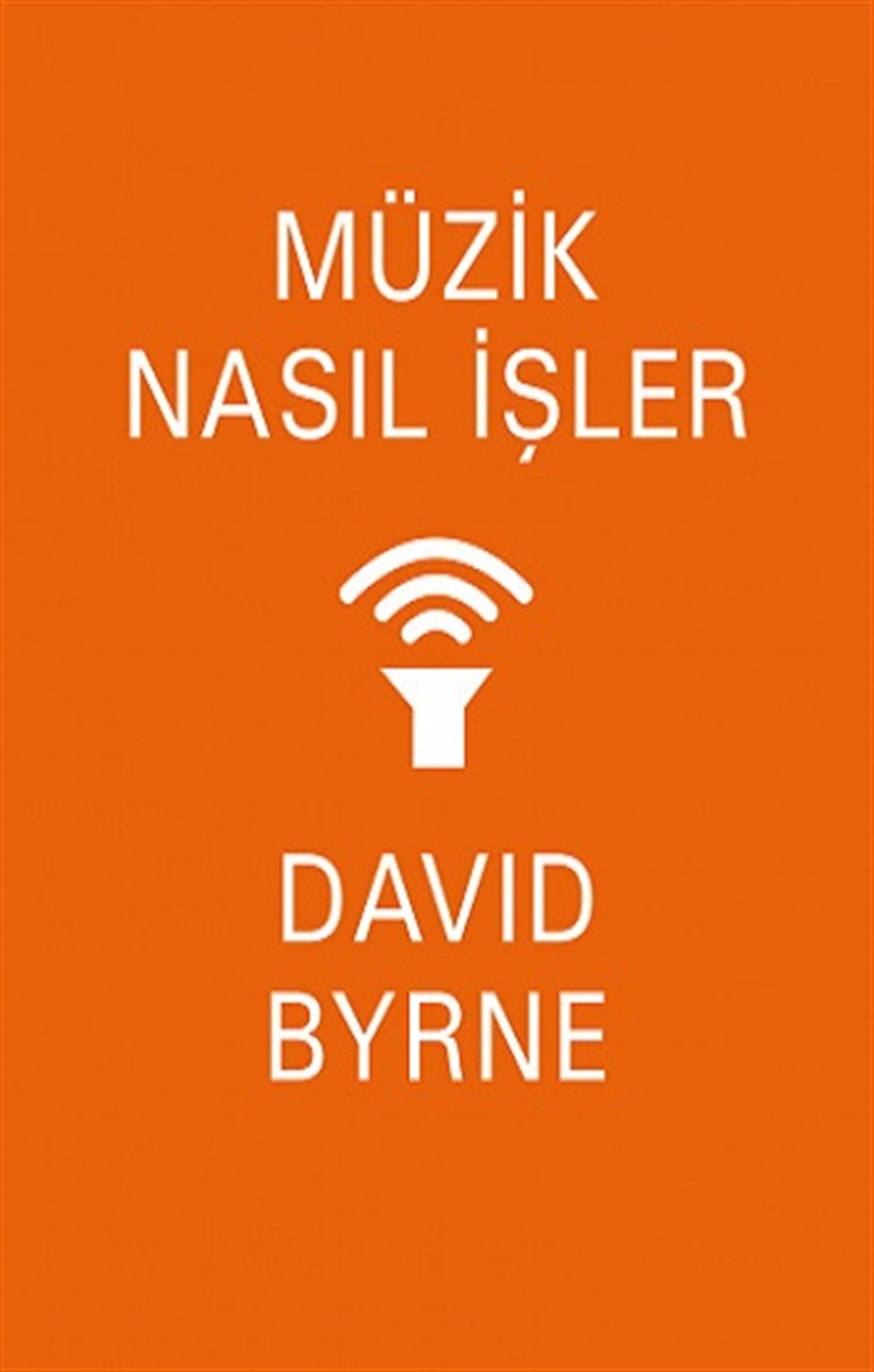 Müzik Nasıl İşler