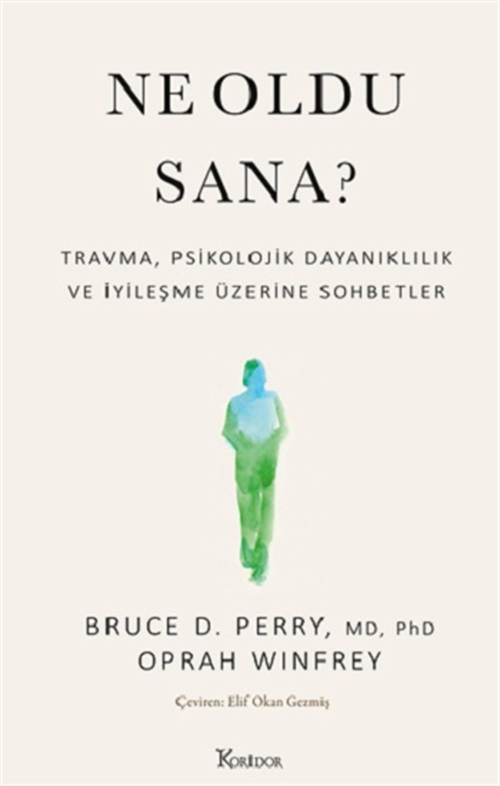 Ne Oldu Sana?