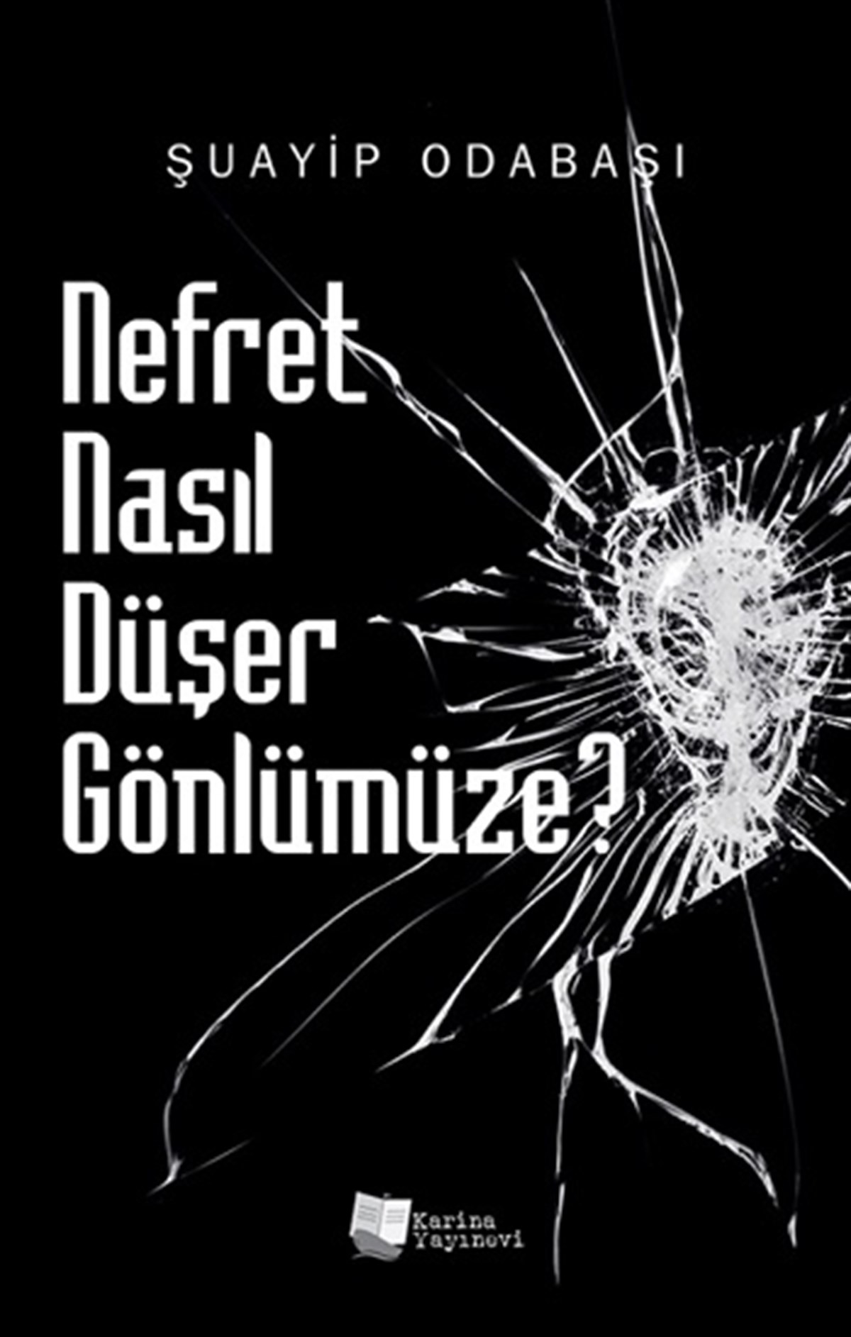 Nefret Nasıl Düşer Gönlümüze
