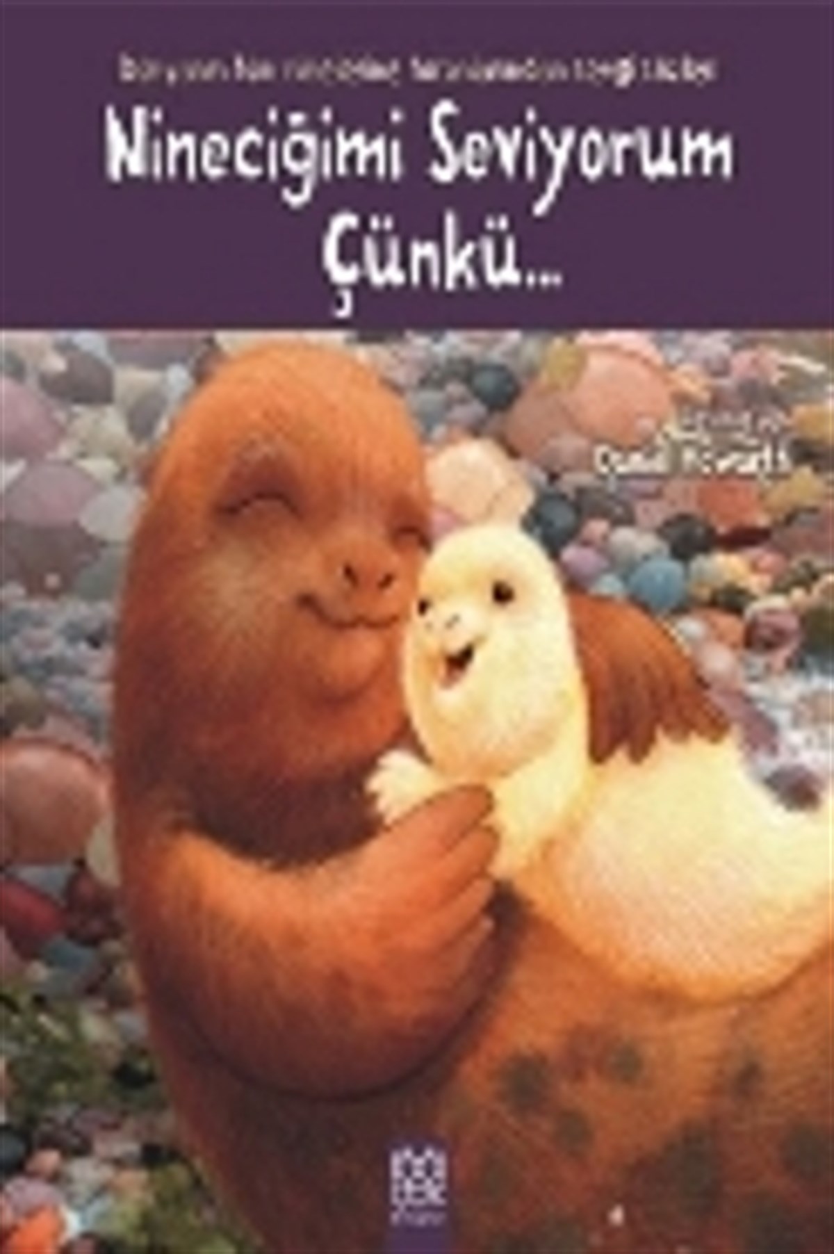Nineciğimi Seviyorum Çünkü