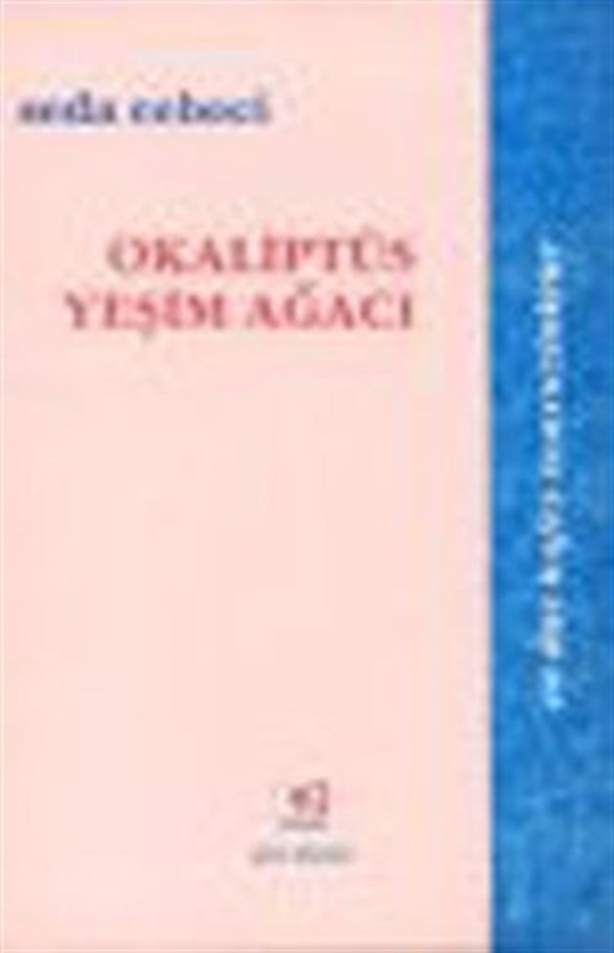 Okaliptüs Yeşim Ağacı