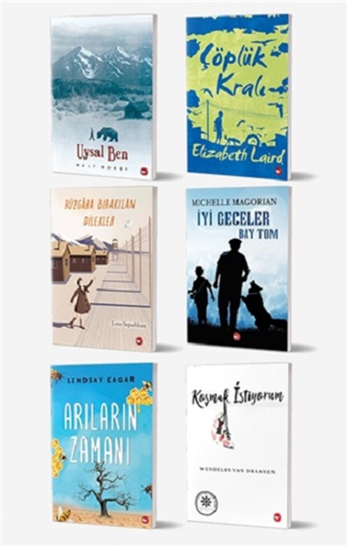 Okullarda Okutulan 8. Sınıf Kitap Seti (6 Kitap Takım)
