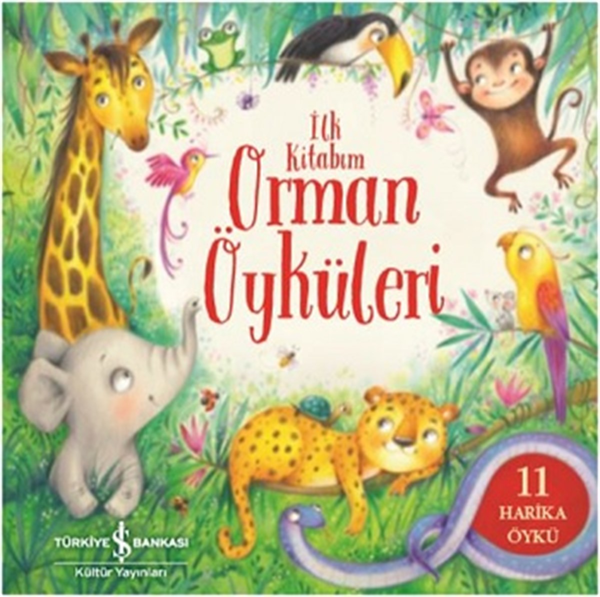 Orman Öyküleri - İlk Kitabım  (Ciltli)