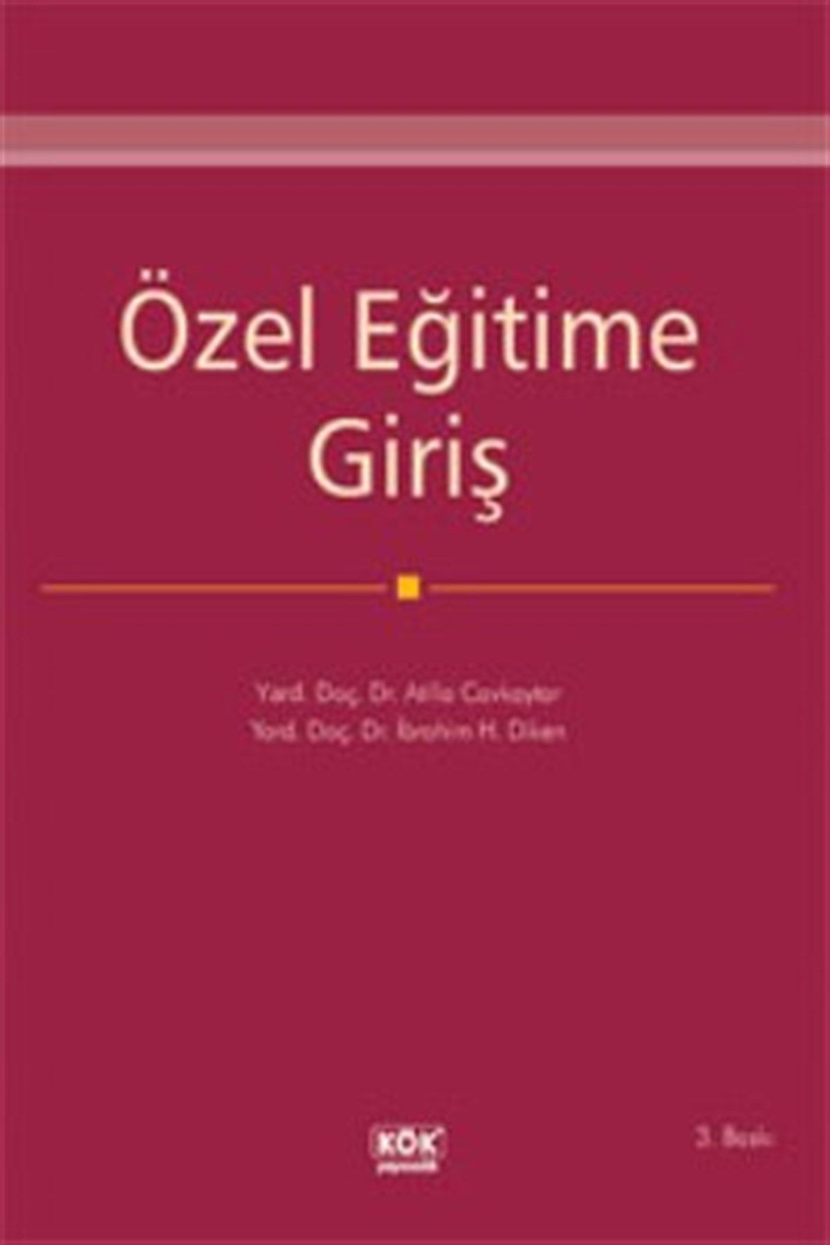 Özel Eğitime Giriş