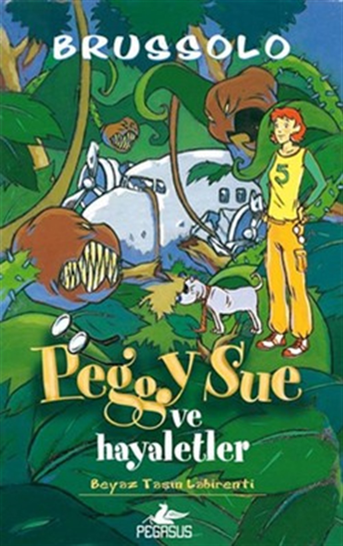 Peggy Sue ve Hayaletler - Beyaz Taşın Labirenti