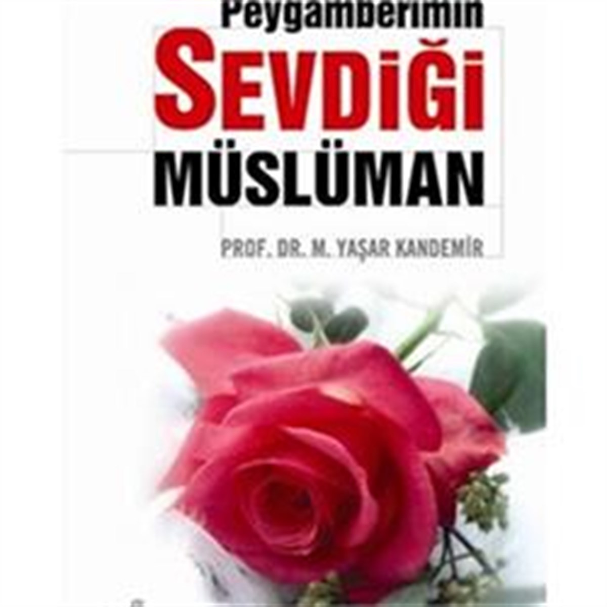 Peygamberimin Sevdiği Müslüman