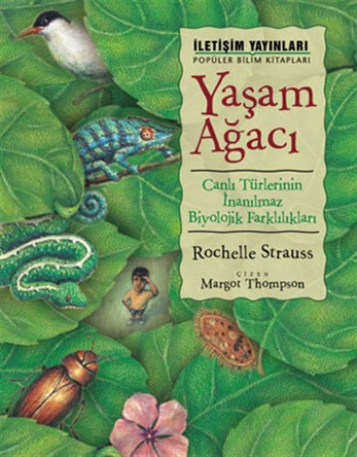 Popüler Bilim Kitapları Dizisi 13 - Yaşam Ağacı (Canlı Türlerinin İnanılmaz Biyolojik Farklılıkları)