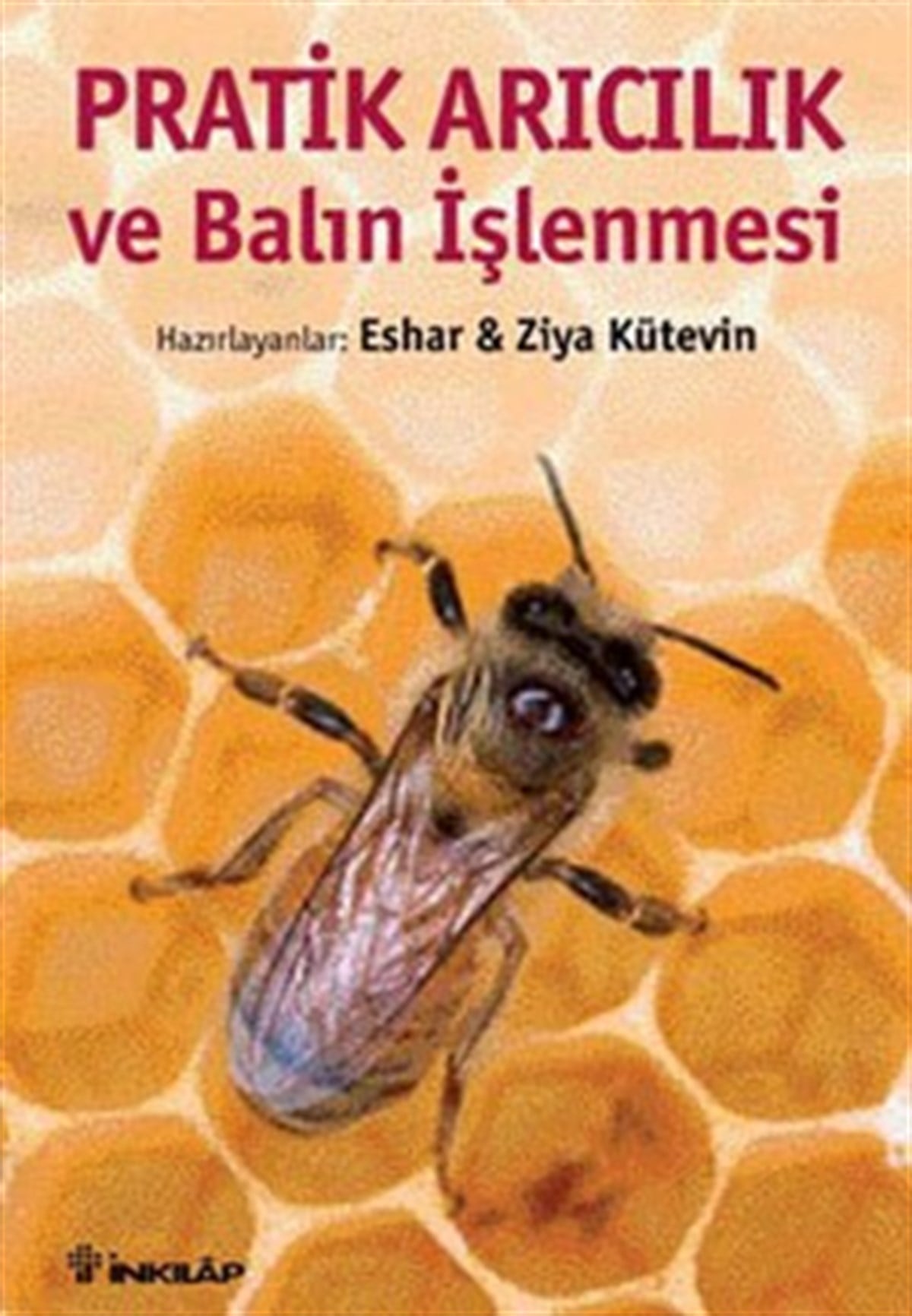 Pratik Arıcılık ve Balın İşlenmesi