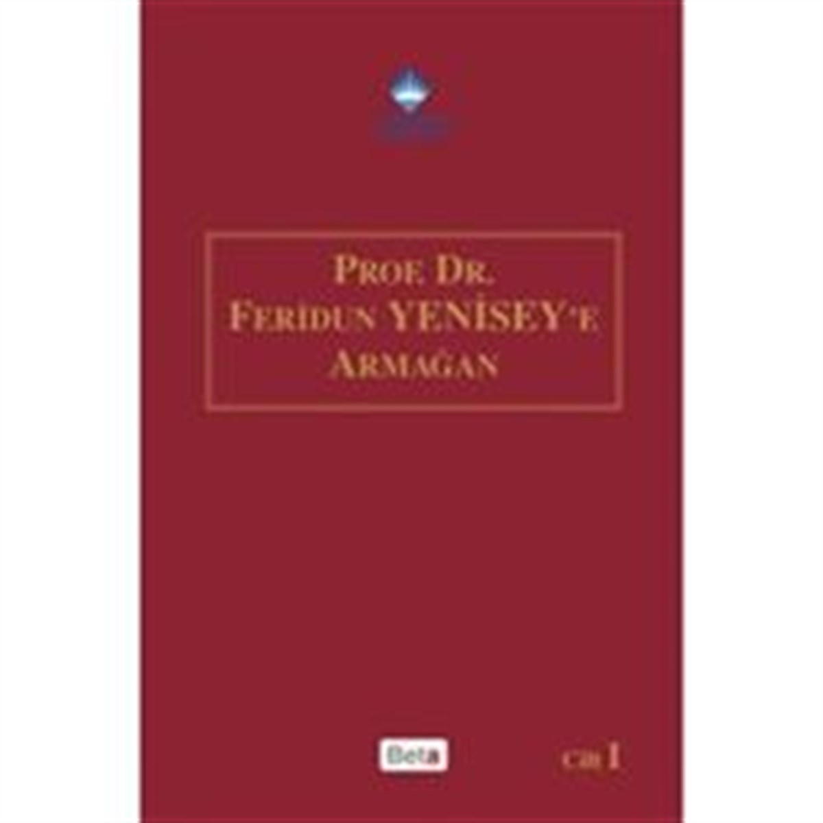 Prof.Dr. Feridun Yenisey'e Armağan (2 Cilt Takım)