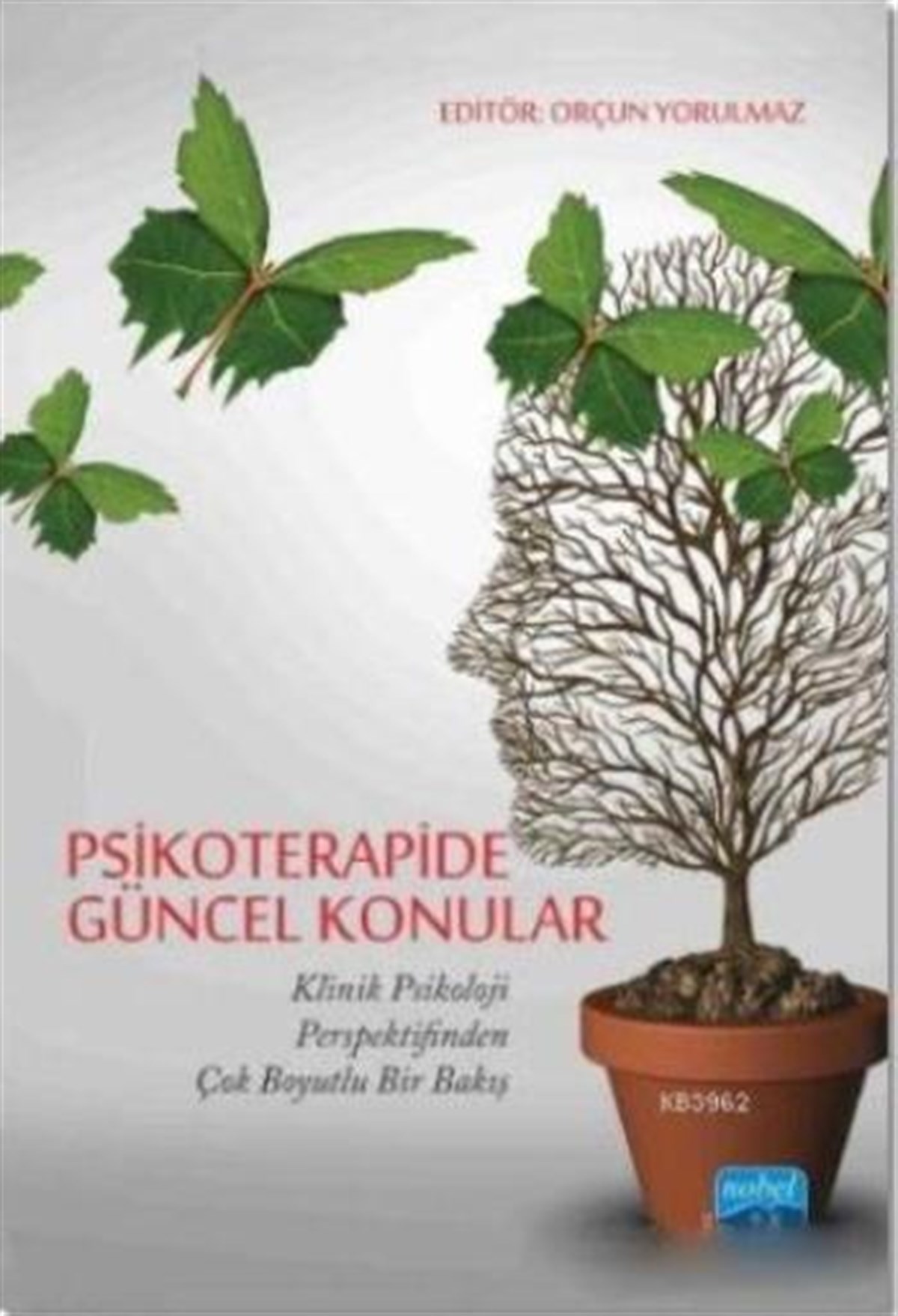 Psikoterapide Güncel Konular (Klinik Psikoloji Perspektifinden Çok Boyutlu Bir Bakış)