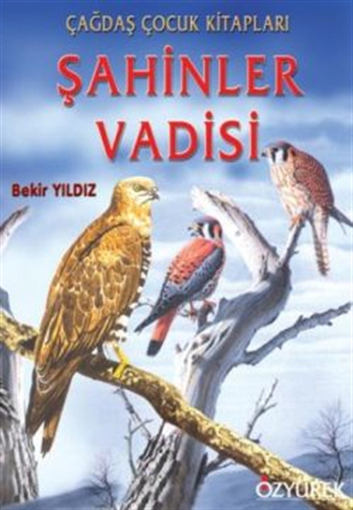 Şahinler Vadisi