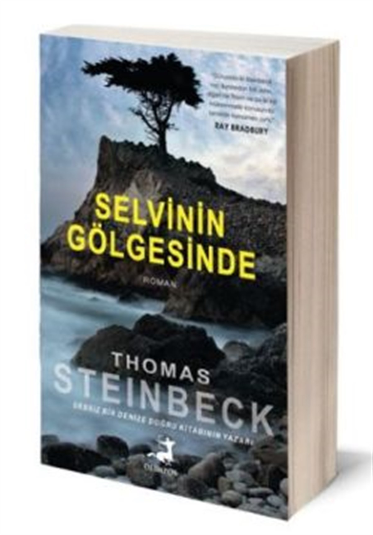 Selvinin Gölgesinde