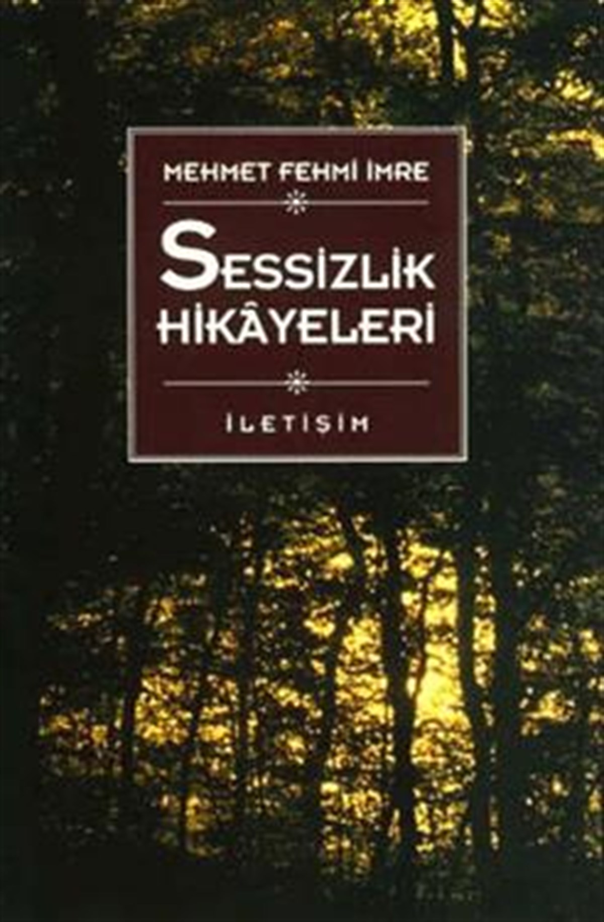 Sessizlik Hikayeleri