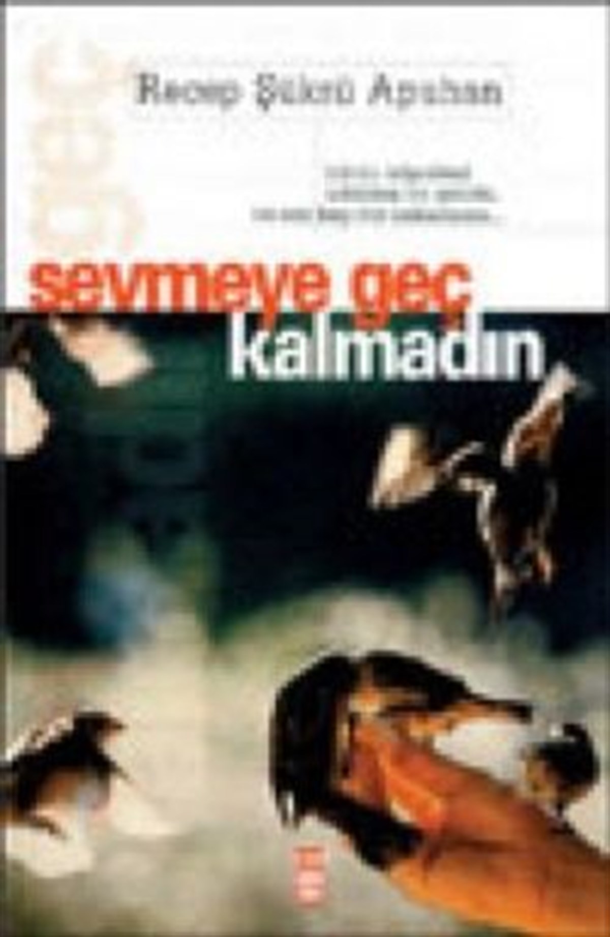 Sevmeye Geç Kalmadın