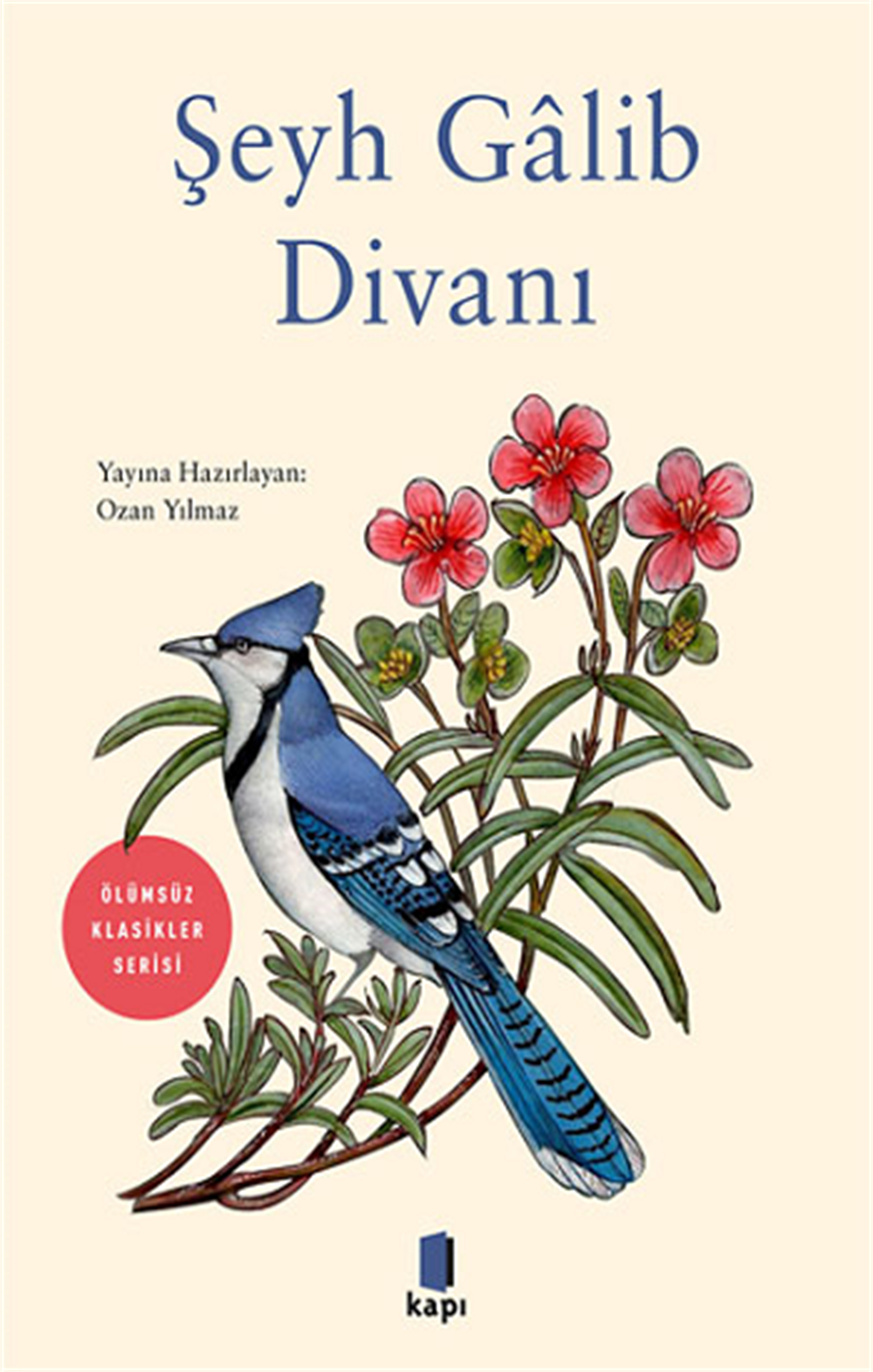 Şeyh Galib  Divanı - Ölümsüz Klasikler