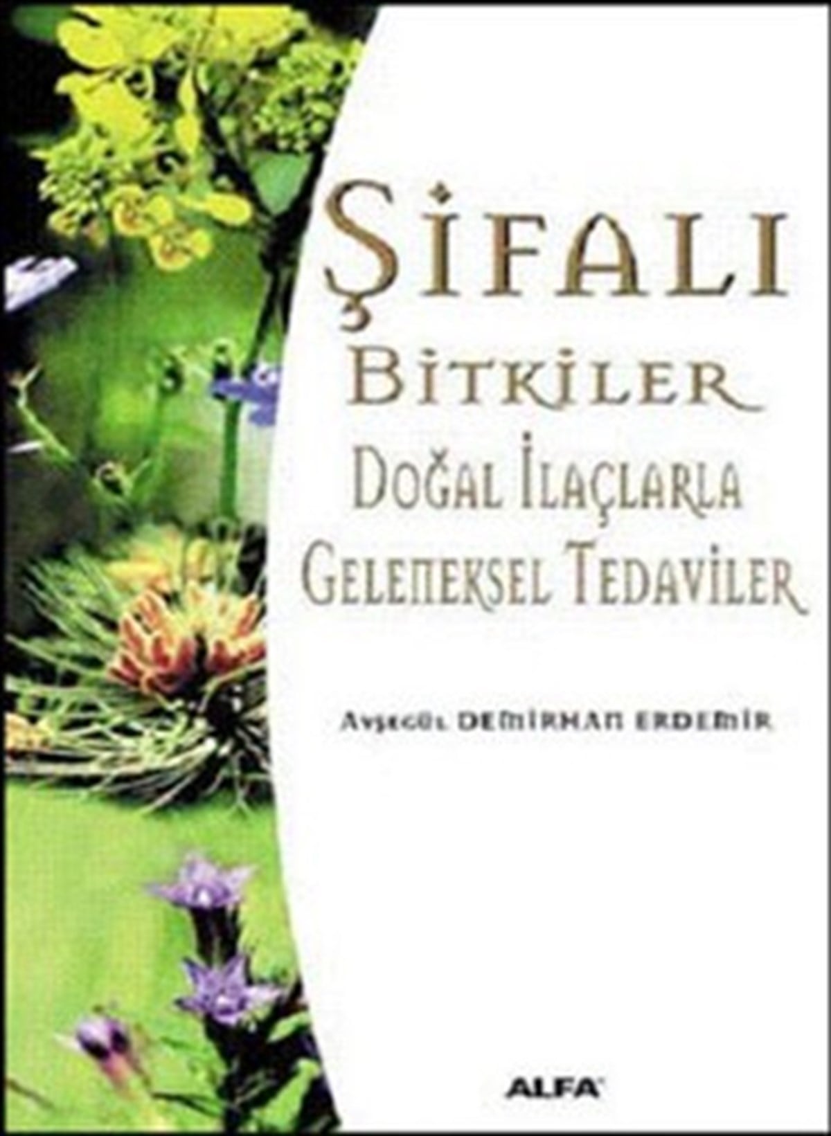 Şifalı Bitkiler Doğal İlaçlarla Geleneksel Tedaviler