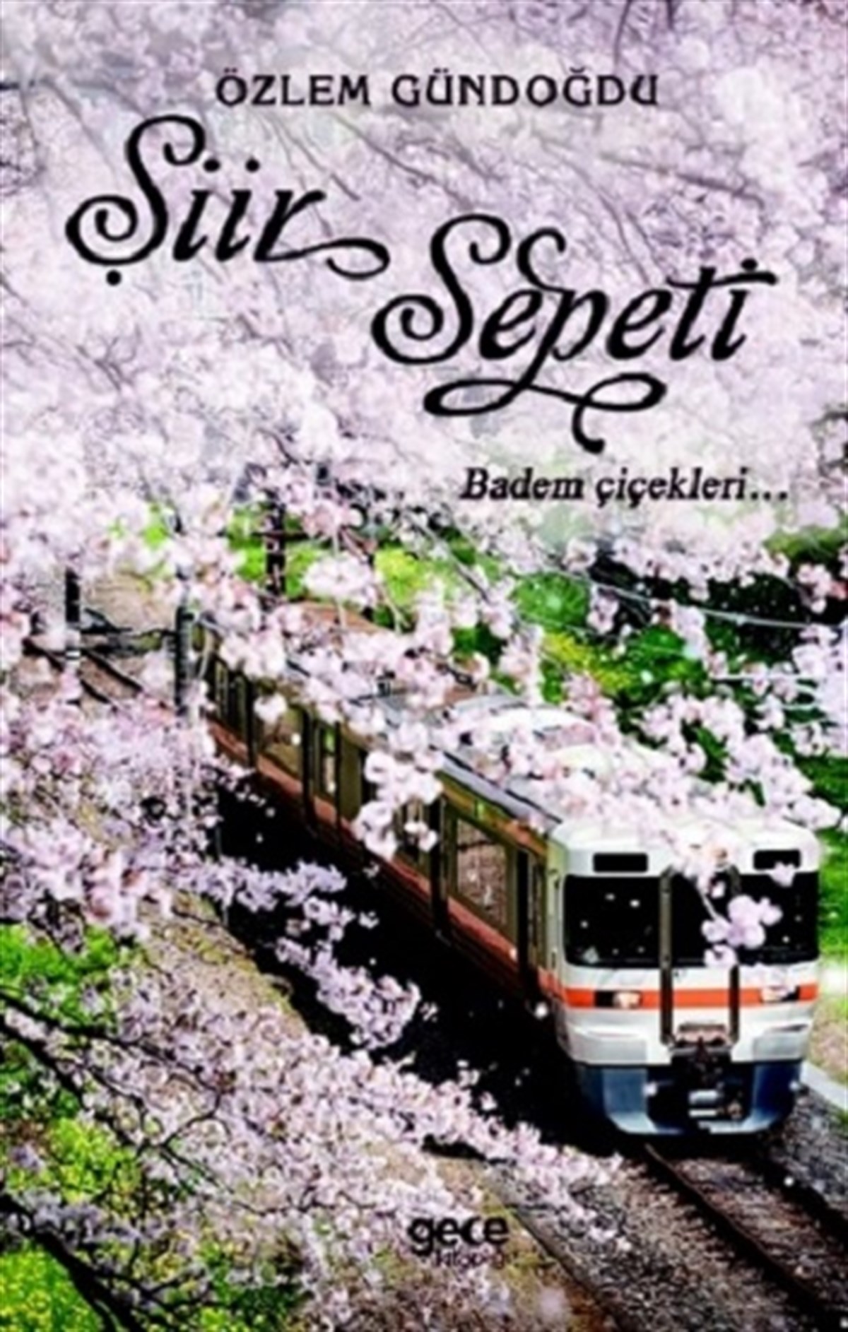 Şiir Sepeti 2