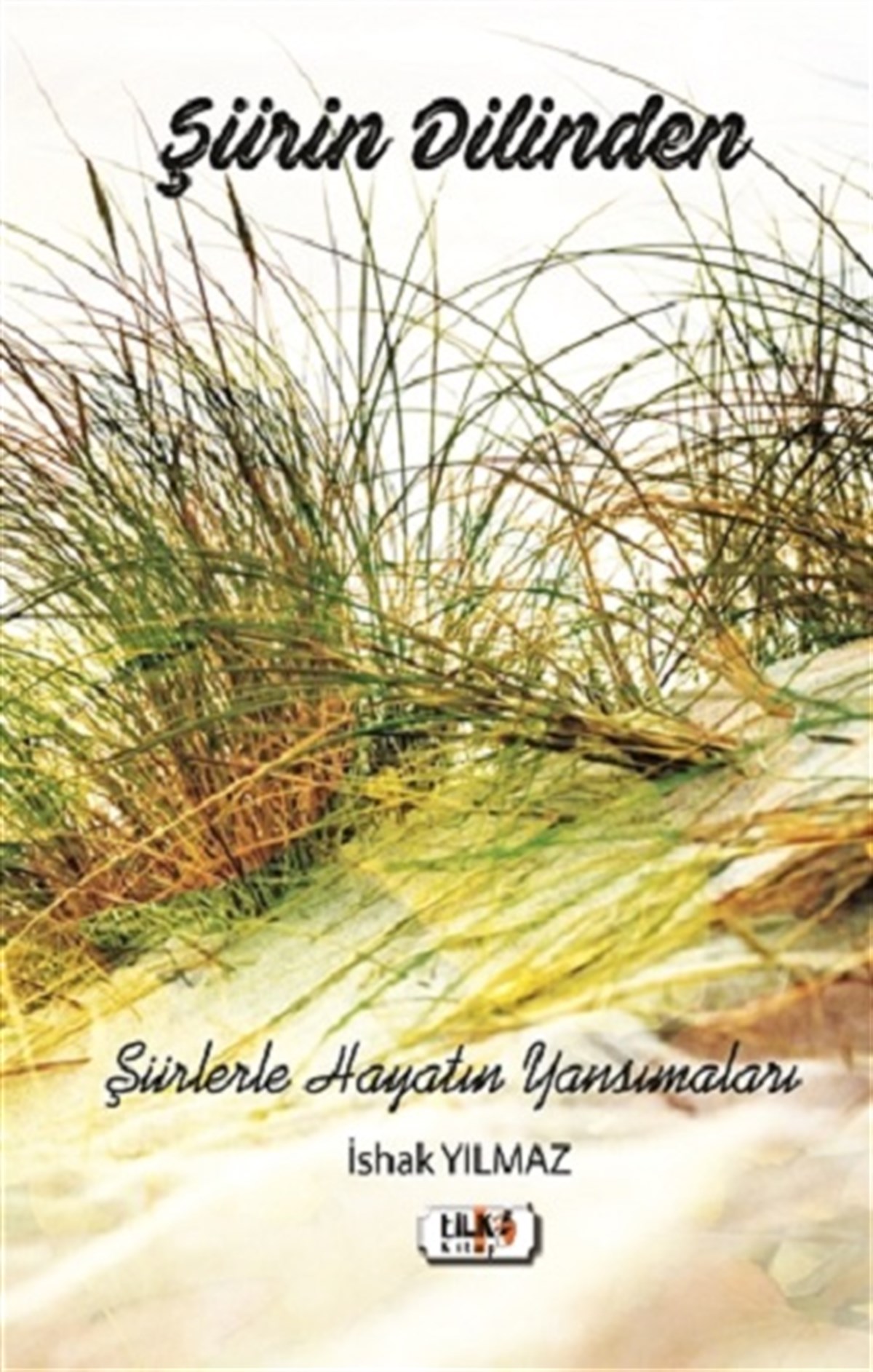 Şiirin Dilinden