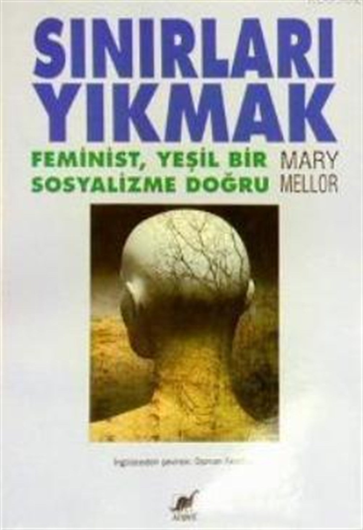 Sınırları Yıkmak Feminist, Yeşil Bir Sosyalizme Doğru