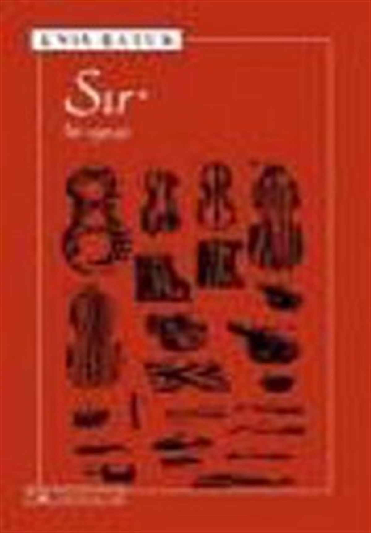 Sır