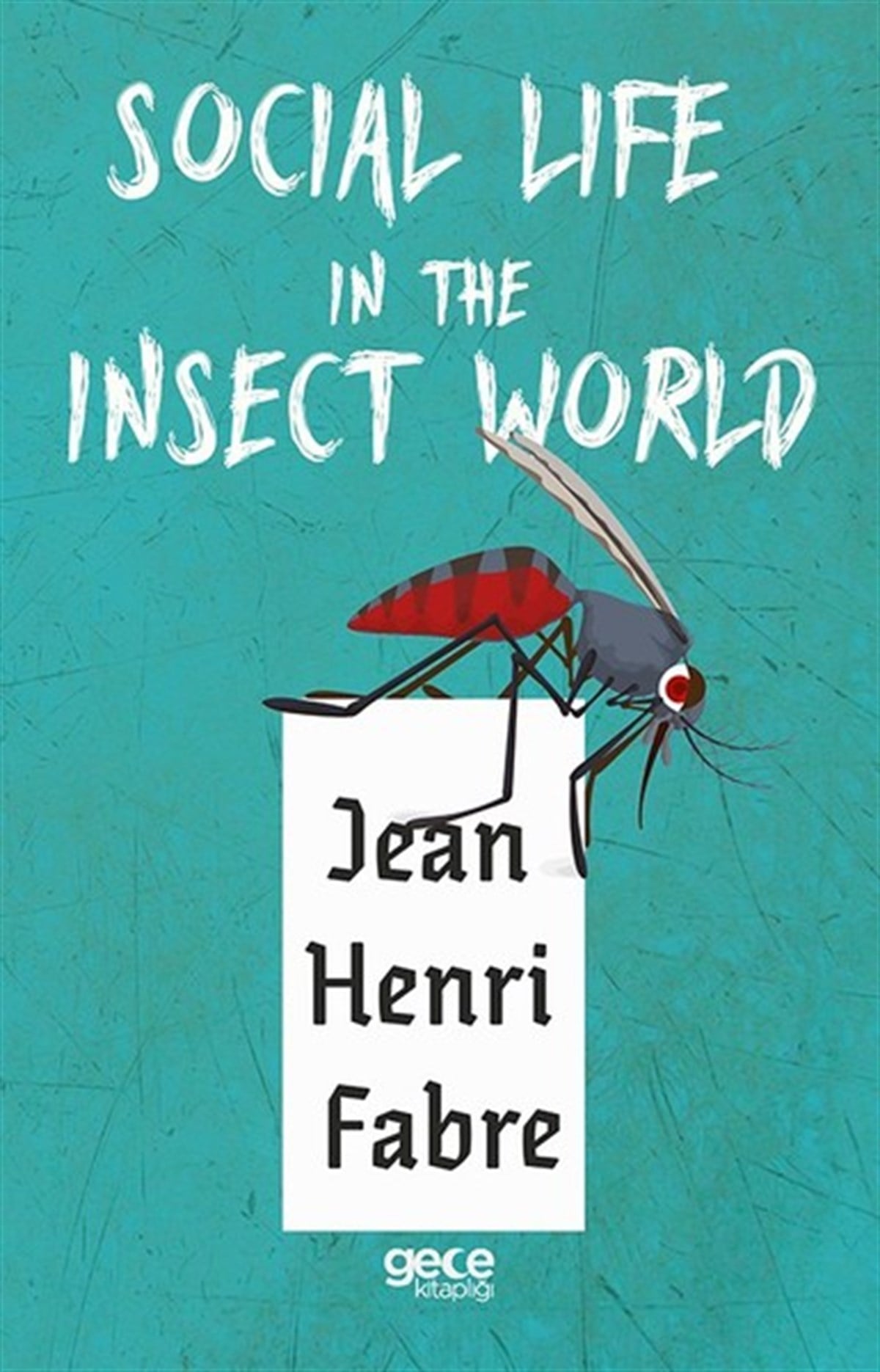 Social Life in the Insect World
