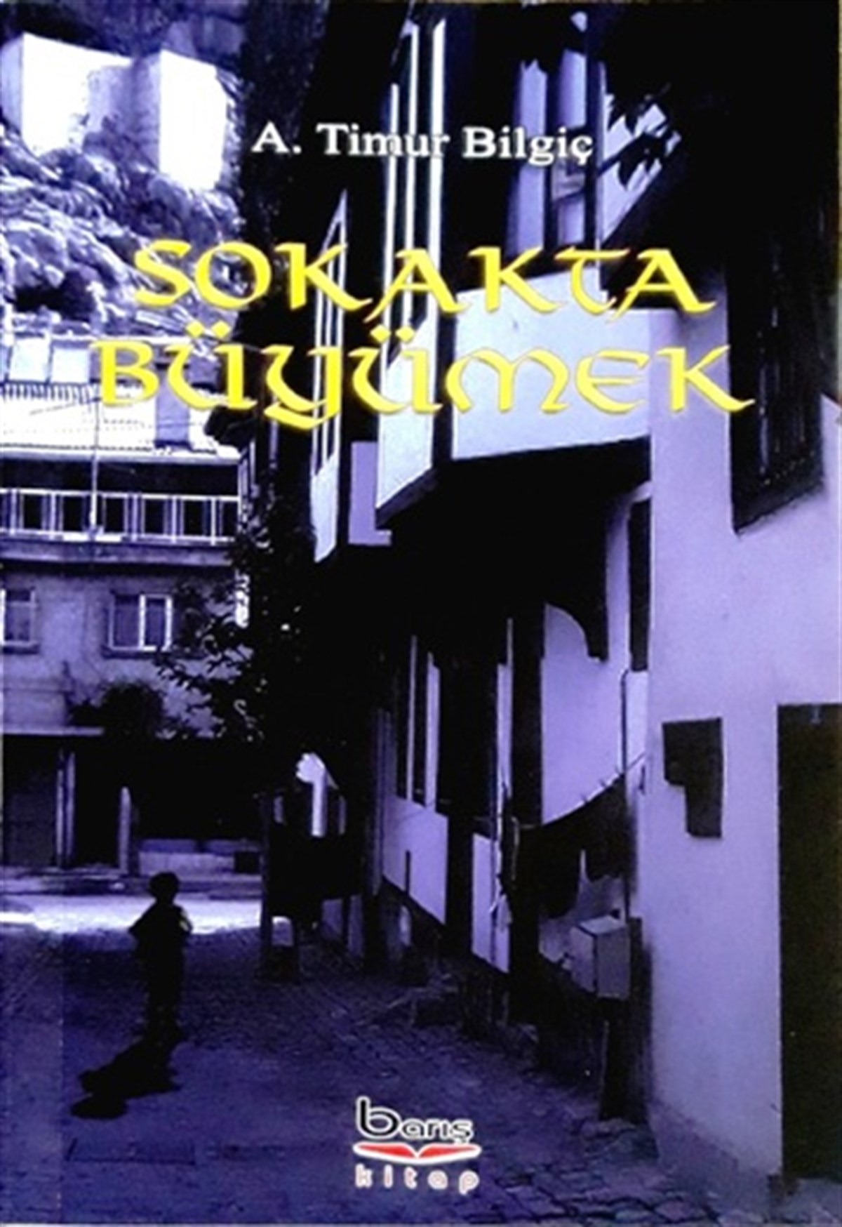 Sokakta Büyümek