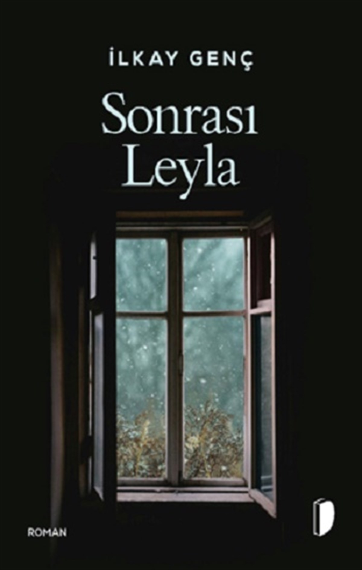 Sonrası Leyla