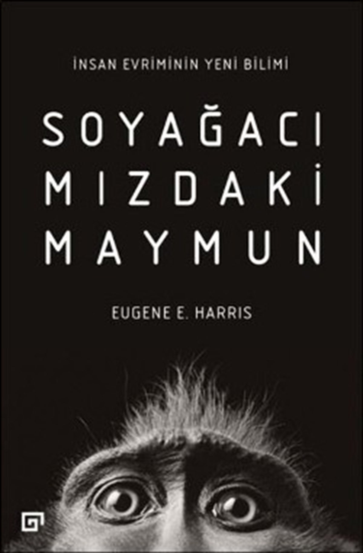 Soyağacımızdaki Maymun-İnsan Evriminin Yeni Bilimi