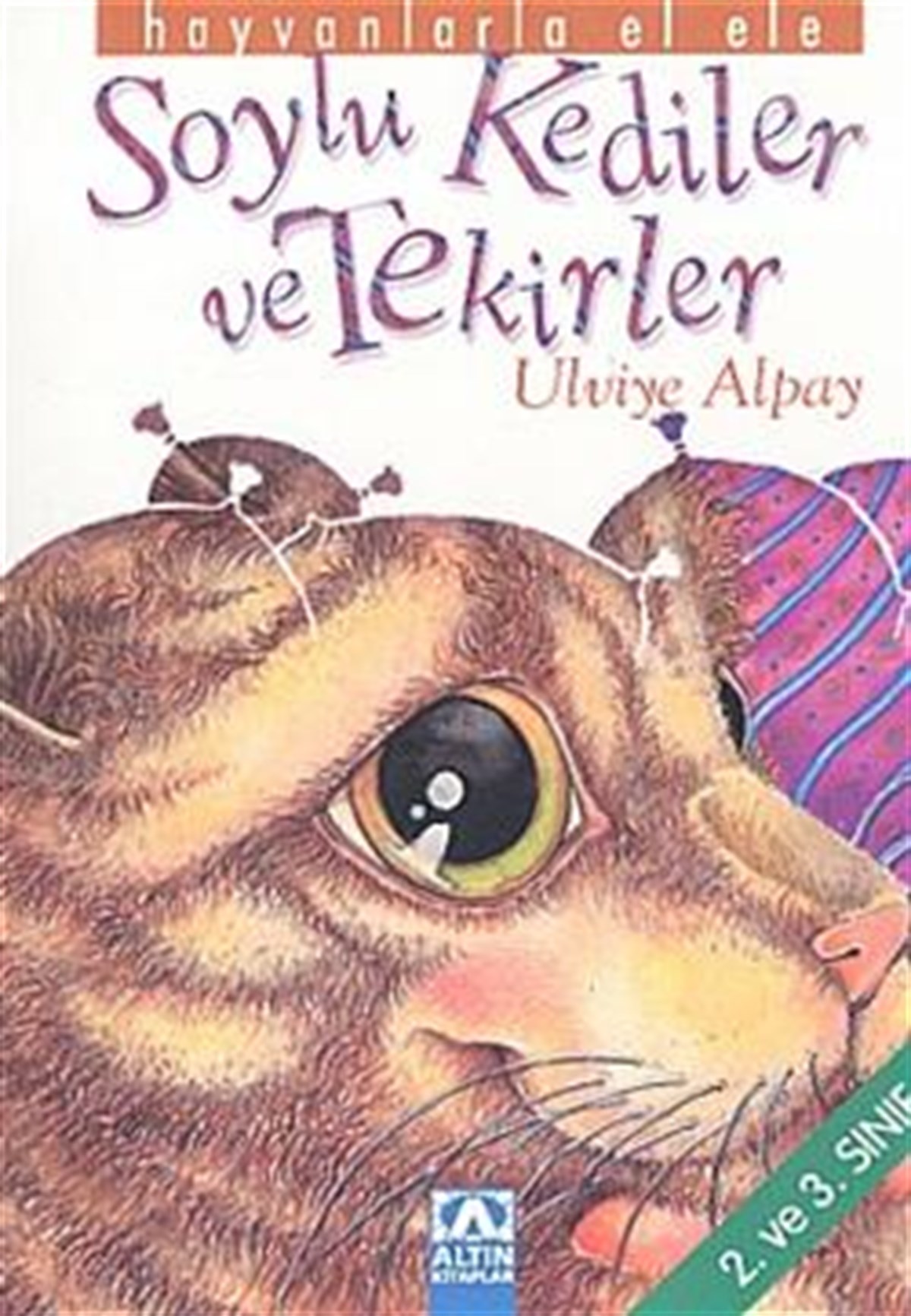 Soylu Kediler ve Tekirler 2. ve 3. Sınıf