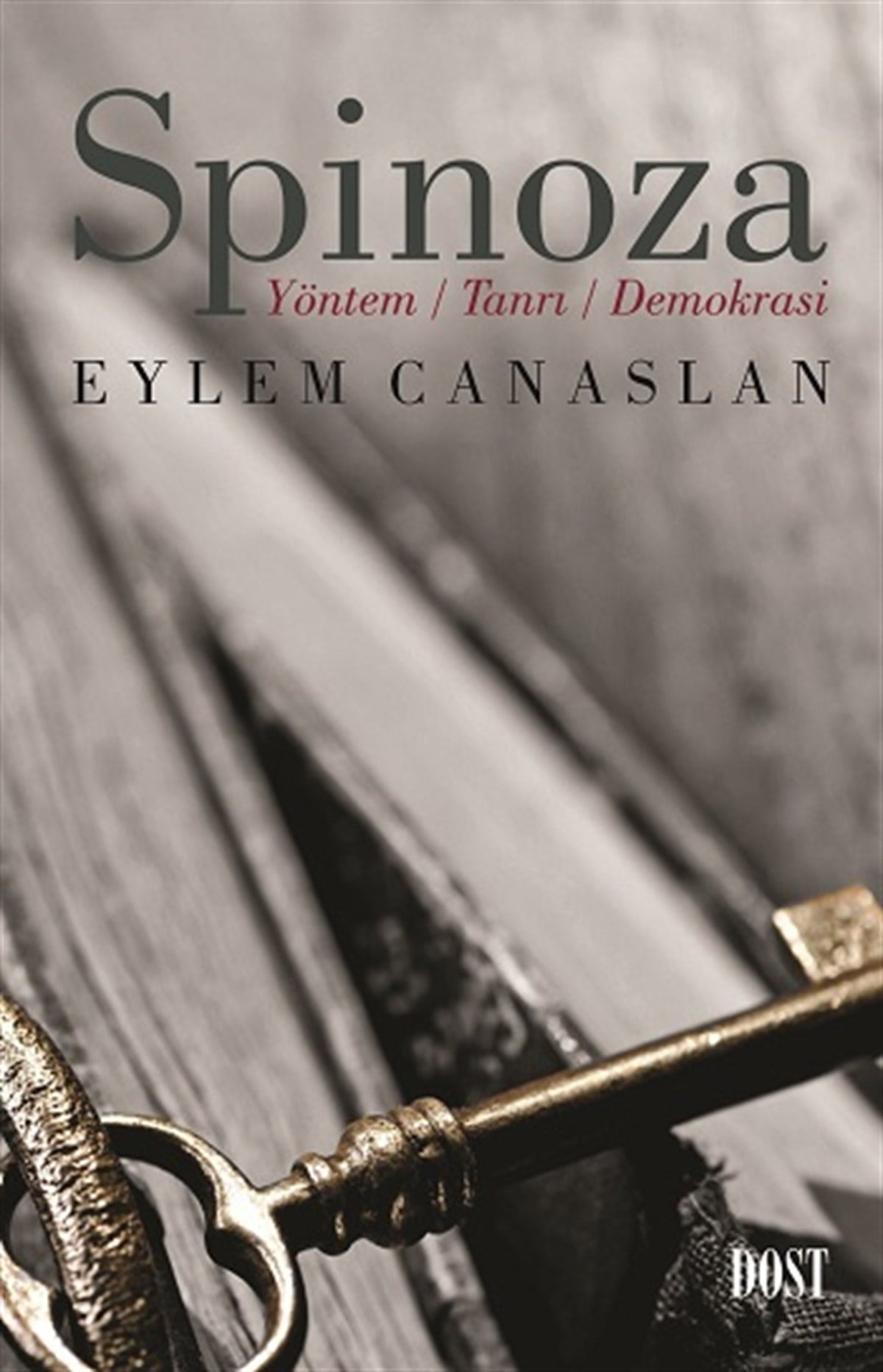 Spinoza: Yöntem, Tanrı, Demokrasi